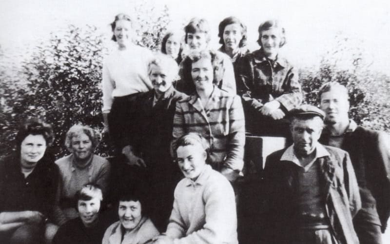 Top 10 Suffolk Phrases Fruit Picking